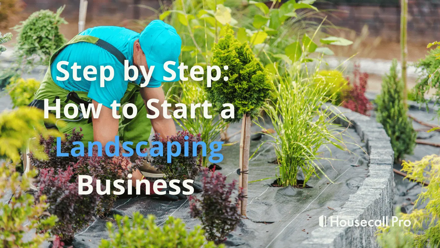 pro planting a tree in the yard