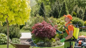 Pro spraying fertilizer on garden plants