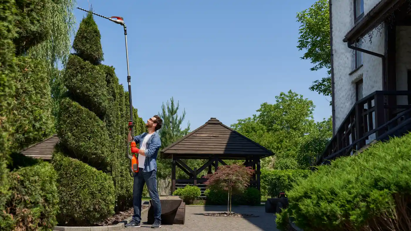 Landscaper using a pole trimmer to shape tall hedges in a residential yard