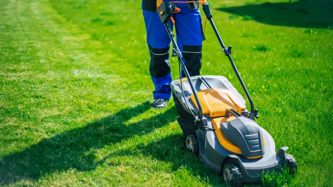 Pro worker mows the lawn using an electric lawn mower in the backyard